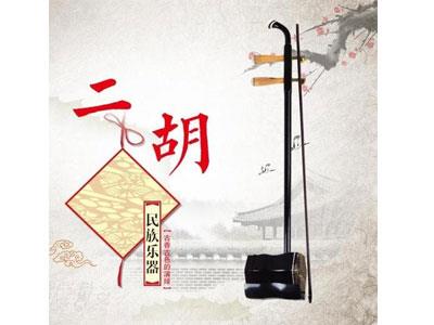 招聘安阳二胡家教老师